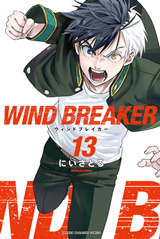 Wind Breaker Nii-Satoru